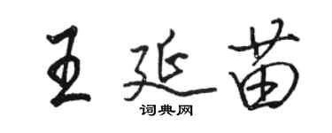 駱恆光王延苗行書個性簽名怎么寫