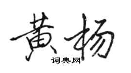 駱恆光黃楊行書個性簽名怎么寫