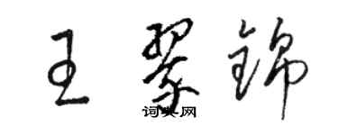 駱恆光王翠錦草書個性簽名怎么寫