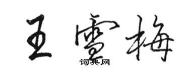 駱恆光王雪梅行書個性簽名怎么寫