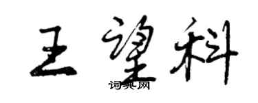 曾慶福王望科行書個性簽名怎么寫