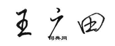 駱恆光王廣田行書個性簽名怎么寫