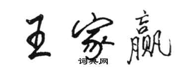 駱恆光王家贏行書個性簽名怎么寫