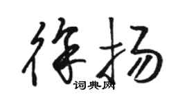 駱恆光徐揚草書個性簽名怎么寫