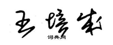 朱錫榮王培成草書個性簽名怎么寫