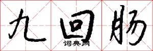 九迴腸怎么寫好看