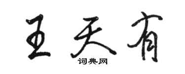 駱恆光王天有行書個性簽名怎么寫