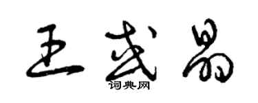 曾慶福王或晶草書個性簽名怎么寫