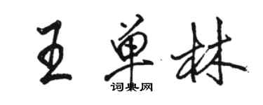 駱恆光王單林行書個性簽名怎么寫