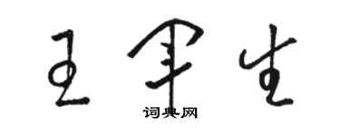 駱恆光王軍生草書個性簽名怎么寫