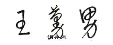 駱恆光王蔓男草書個性簽名怎么寫