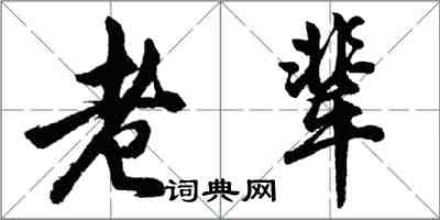 胡問遂老輩行書怎么寫