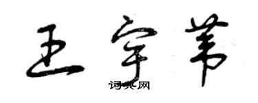 曾慶福王宇葦草書個性簽名怎么寫