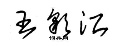 朱錫榮王彩江草書個性簽名怎么寫