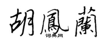 王正良胡鳳蘭行書個性簽名怎么寫