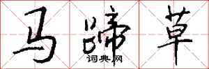 錢沛雲馬蹄草行書怎么寫