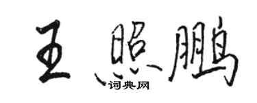 駱恆光王照鵬行書個性簽名怎么寫