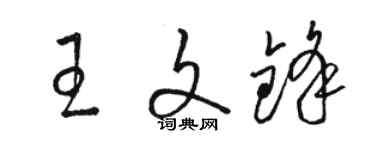 駱恆光王文鋒草書個性簽名怎么寫