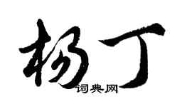 胡問遂楊丁行書個性簽名怎么寫