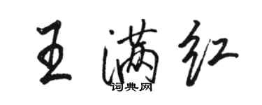 駱恆光王滿紅行書個性簽名怎么寫