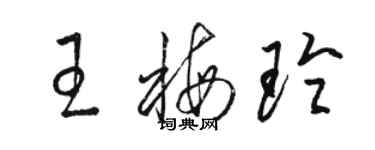 駱恆光王梅玲草書個性簽名怎么寫