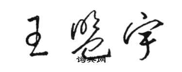 駱恆光王盟宇草書個性簽名怎么寫