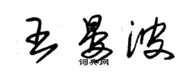 朱錫榮王晏波草書個性簽名怎么寫