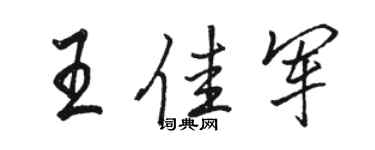 駱恆光王佳軍行書個性簽名怎么寫