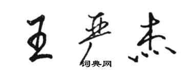 駱恆光王嚴傑行書個性簽名怎么寫