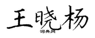 丁謙王曉楊楷書個性簽名怎么寫
