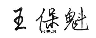 駱恆光王保魁行書個性簽名怎么寫