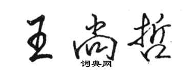 駱恆光王尚哲行書個性簽名怎么寫