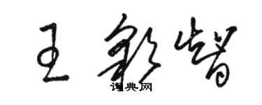 駱恆光王彩智草書個性簽名怎么寫