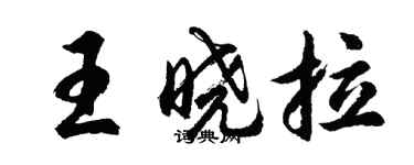 胡問遂王曉拉行書個性簽名怎么寫