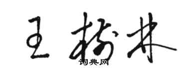 駱恆光王樹林草書個性簽名怎么寫