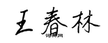 王正良王春林行書個性簽名怎么寫