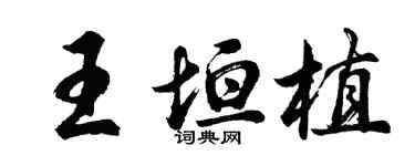 胡問遂王垣植行書個性簽名怎么寫