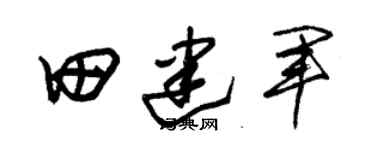 朱錫榮田建軍草書個性簽名怎么寫