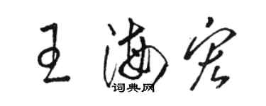 駱恆光王海宏草書個性簽名怎么寫