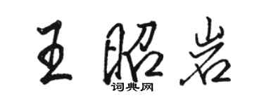 駱恆光王昭岩行書個性簽名怎么寫