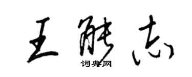 王正良王能志行書個性簽名怎么寫