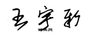朱錫榮王宇新草書個性簽名怎么寫