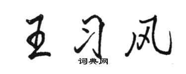 駱恆光王習風行書個性簽名怎么寫