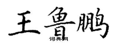 丁謙王魯鵬楷書個性簽名怎么寫