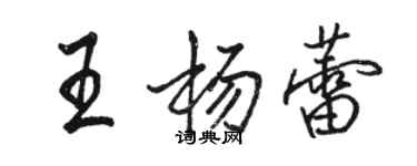 駱恆光王楊蕾行書個性簽名怎么寫