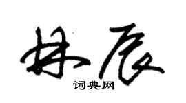 朱錫榮林辰草書個性簽名怎么寫