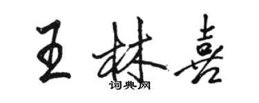 駱恆光王林喜行書個性簽名怎么寫