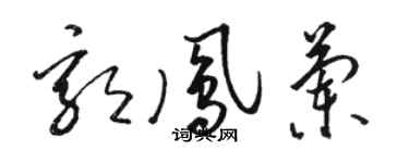 駱恆光郭鳳蘭草書個性簽名怎么寫