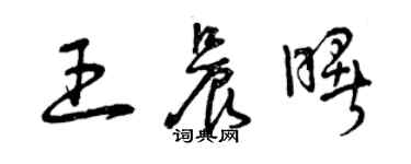 曾慶福王晨曙草書個性簽名怎么寫