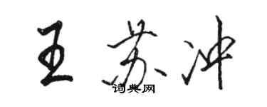 駱恆光王蘇沖行書個性簽名怎么寫